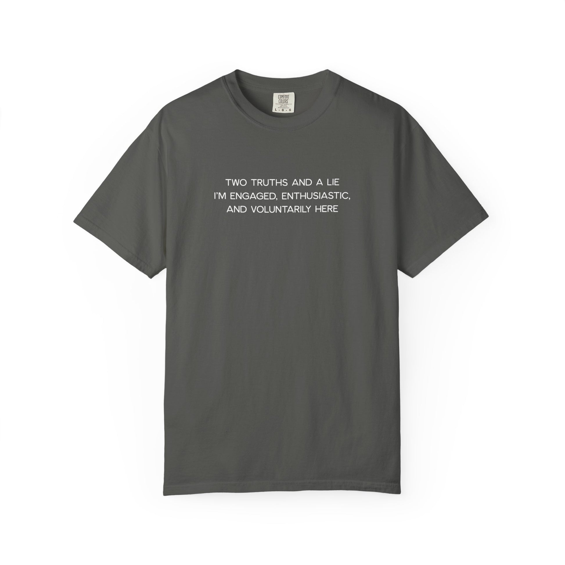 Two Truths and a Lie Teacher Shirt - Funny PD Day Shirt, Icebreaker Survivor Tee, Teacher Humor Comfort Colors Shirt