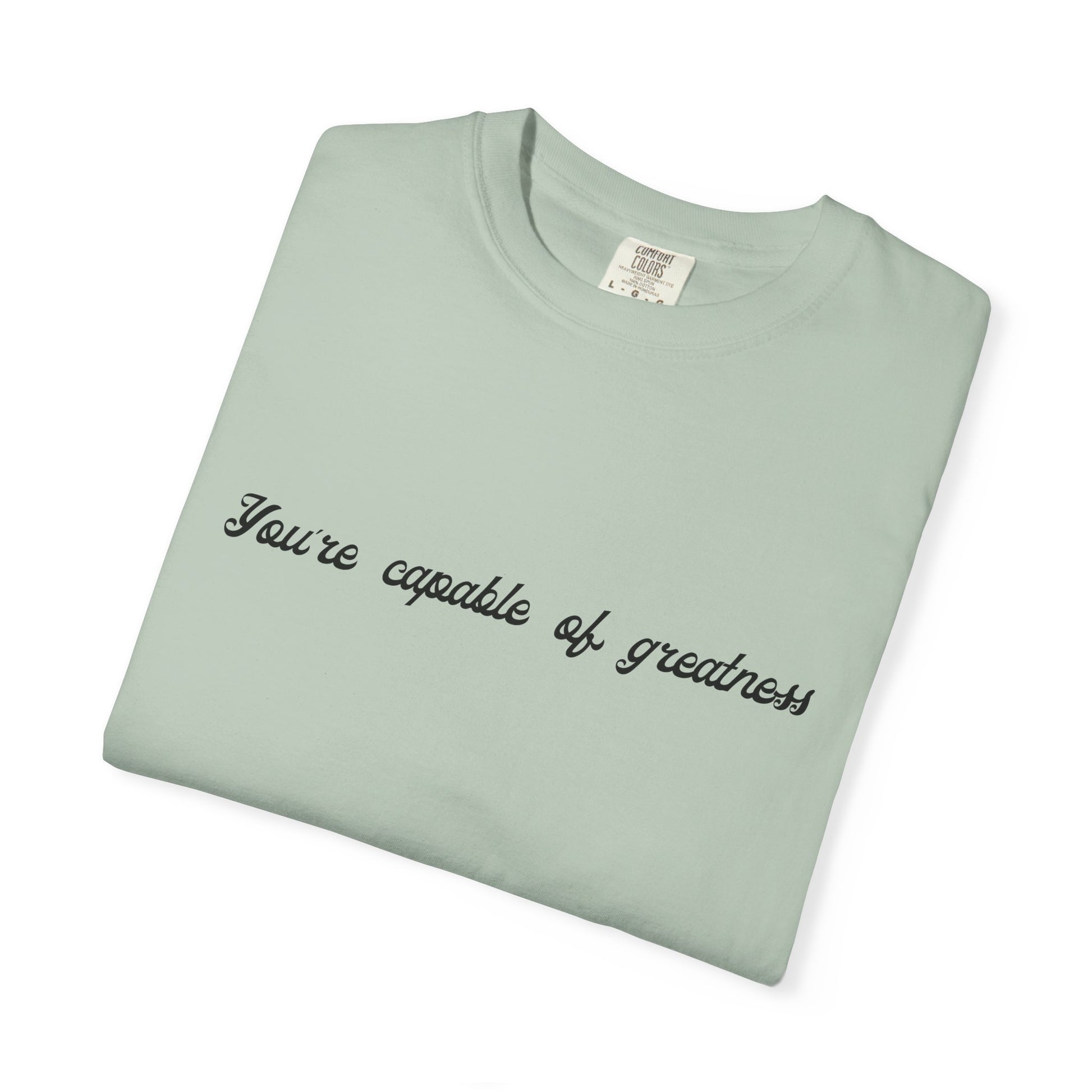 Motivational Sarcastic Directions Tee