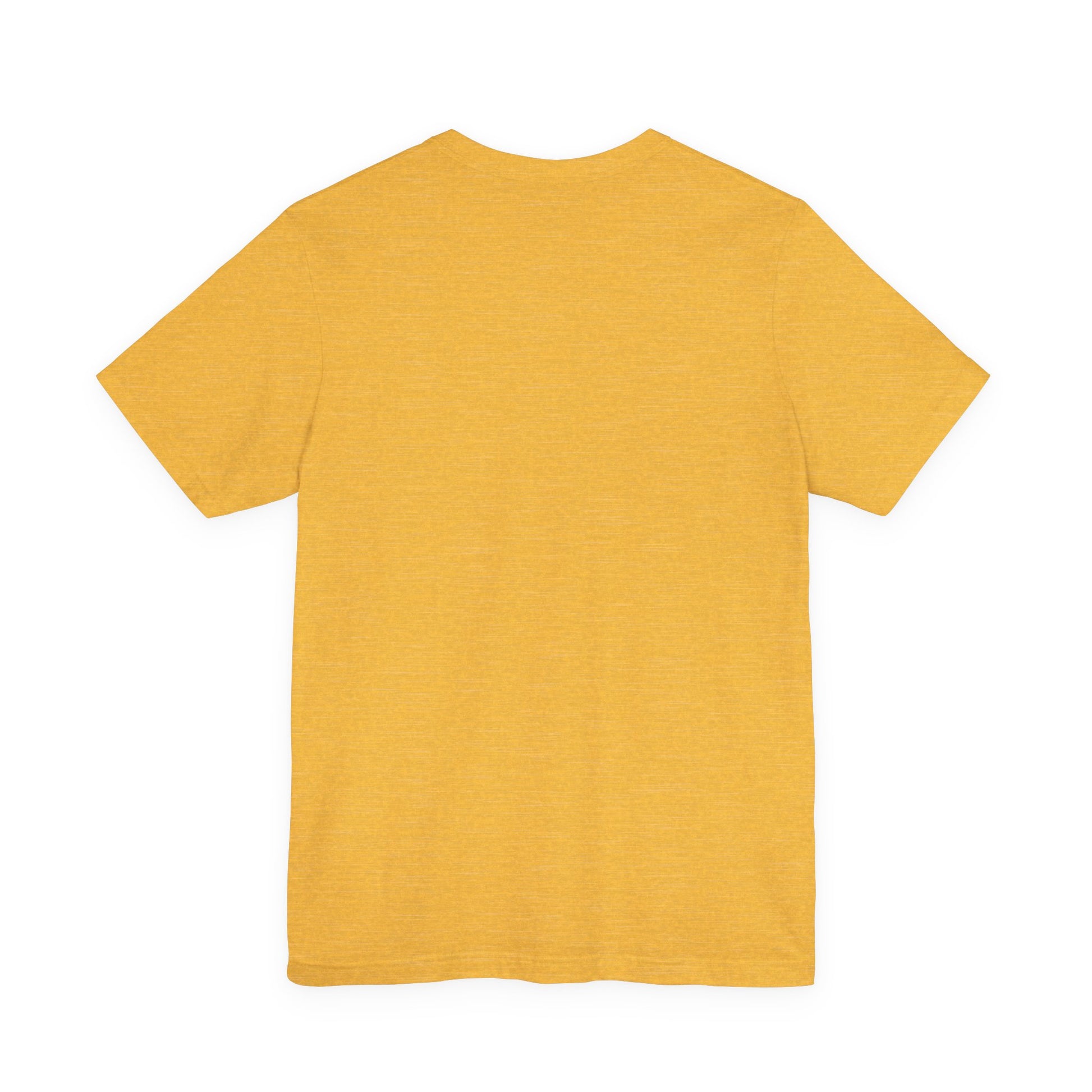 Does This Shirt Make My Lesson Plans Look Finished? Tee