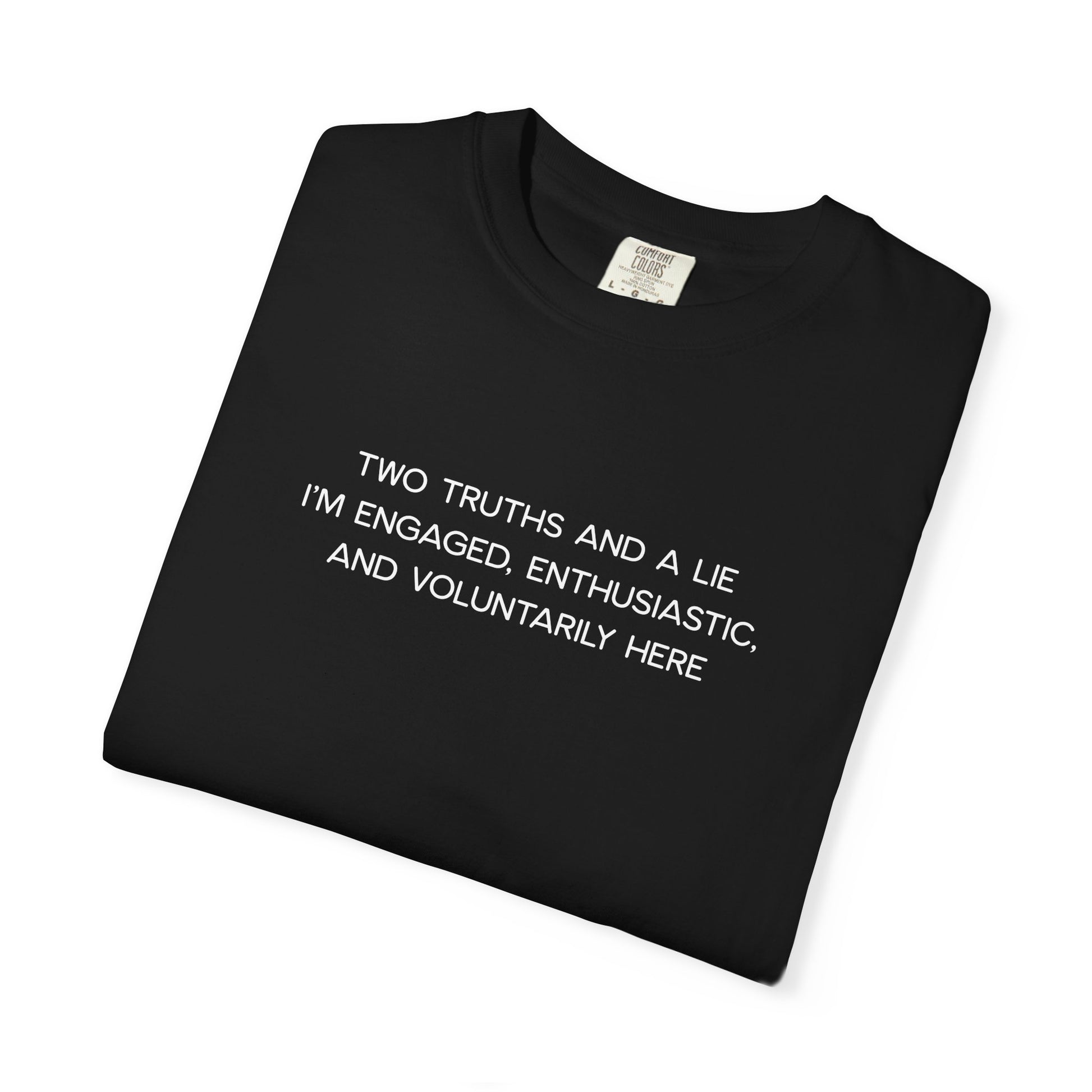 Two Truths and a Lie Teacher Shirt - Funny PD Day Shirt, Icebreaker Survivor Tee, Teacher Humor Comfort Colors Shirt
