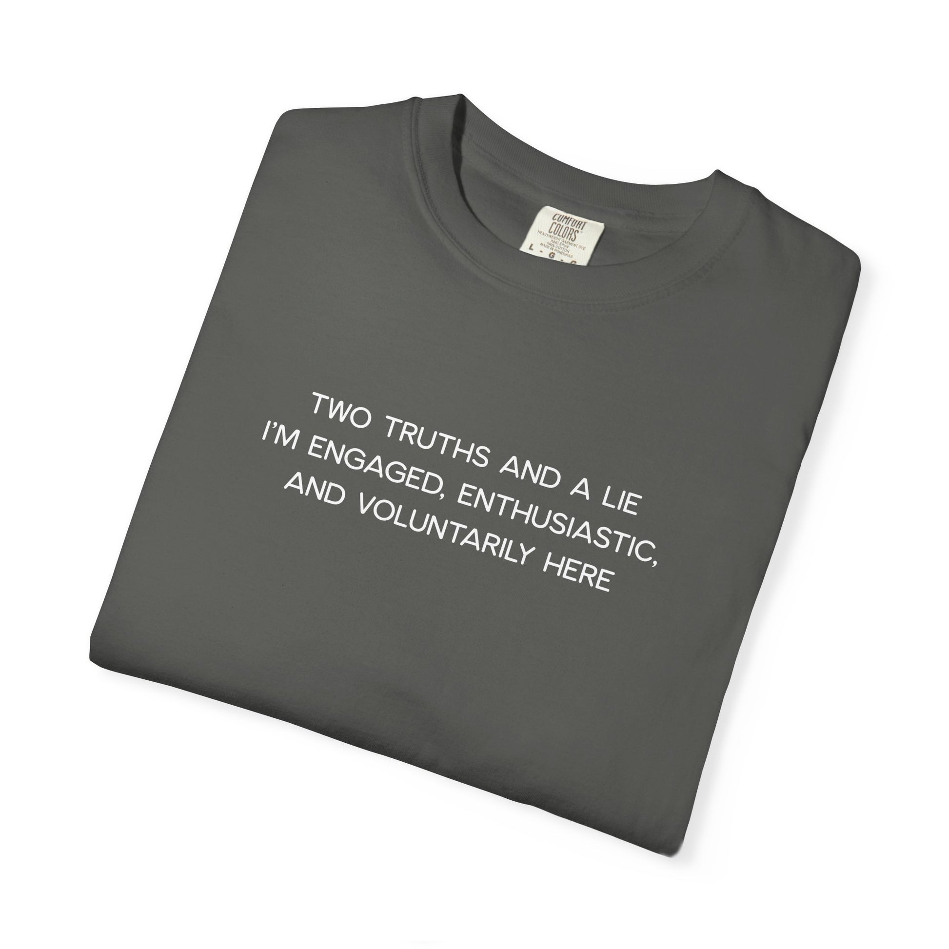 Two Truths and a Lie Teacher Shirt - Funny PD Day Shirt, Icebreaker Survivor Tee, Teacher Humor Comfort Colors Shirt