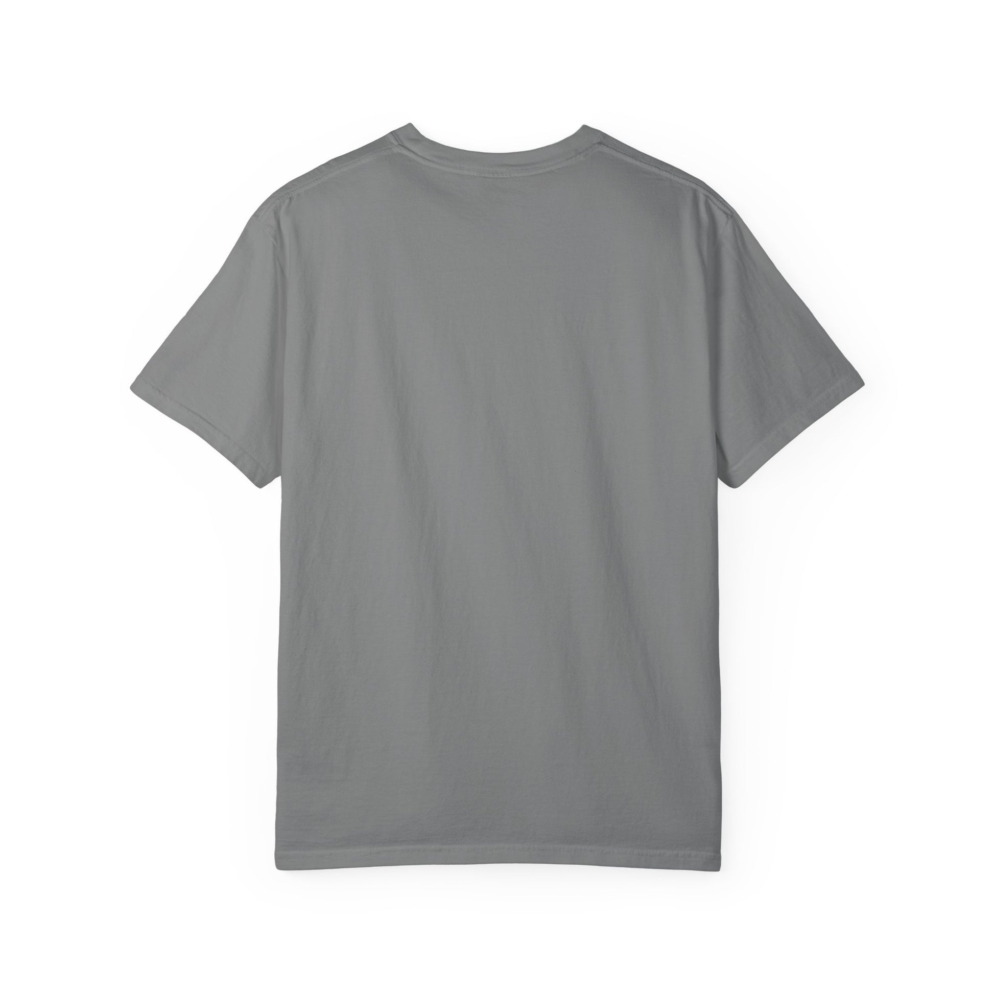 I Got My Degree Before ChatGPT Tee