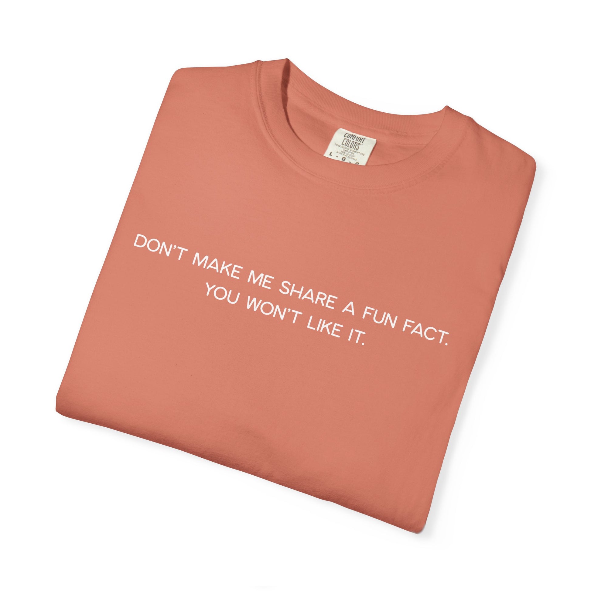 Don't Make Me Share a Fun Fact Shirt - Funny PD Day Teacher Shirt, Anti-Icebreaker Comfort Colors Tee, Staff Meeting Shirt