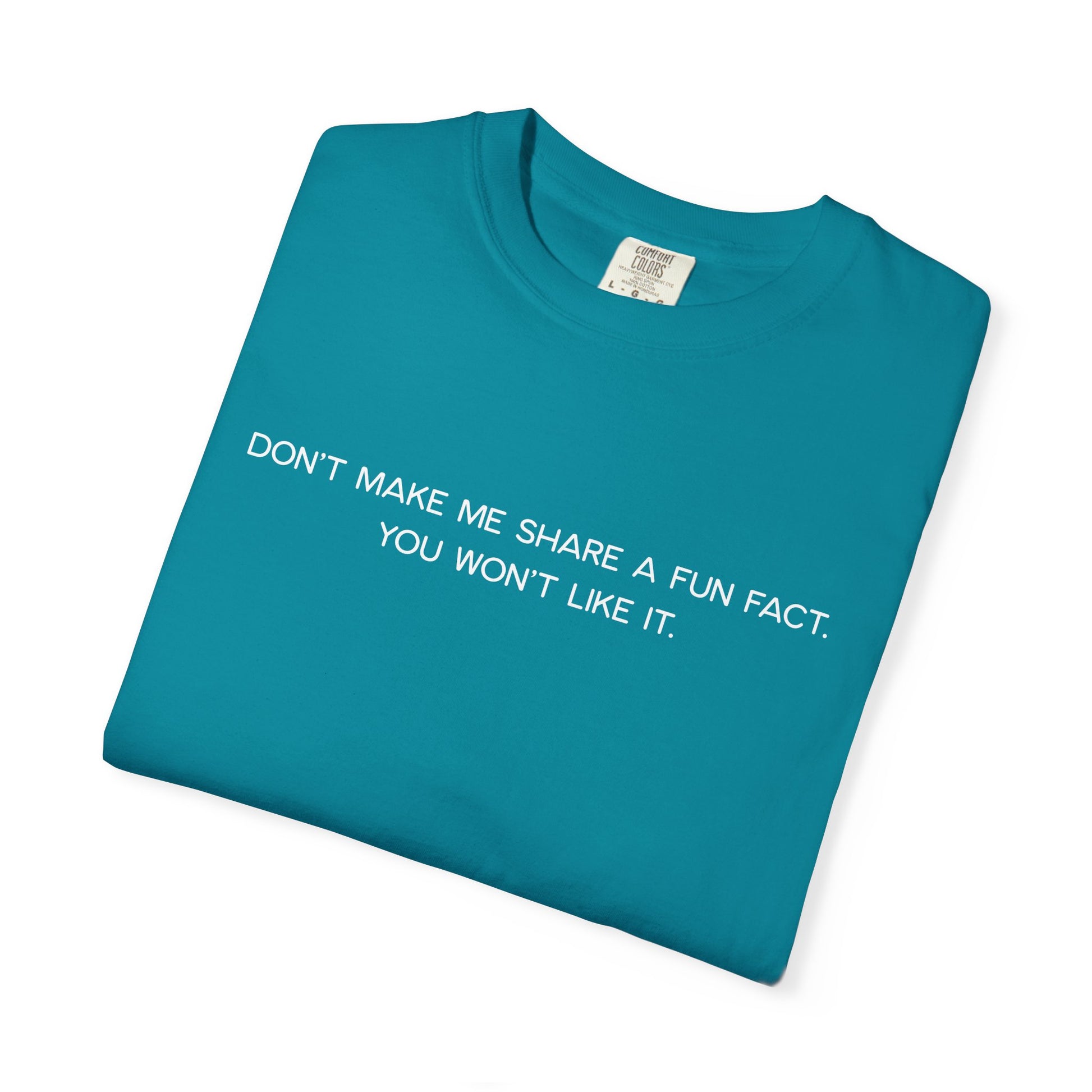 Don't Make Me Share a Fun Fact Shirt - Funny PD Day Teacher Shirt, Anti-Icebreaker Comfort Colors Tee, Staff Meeting Shirt