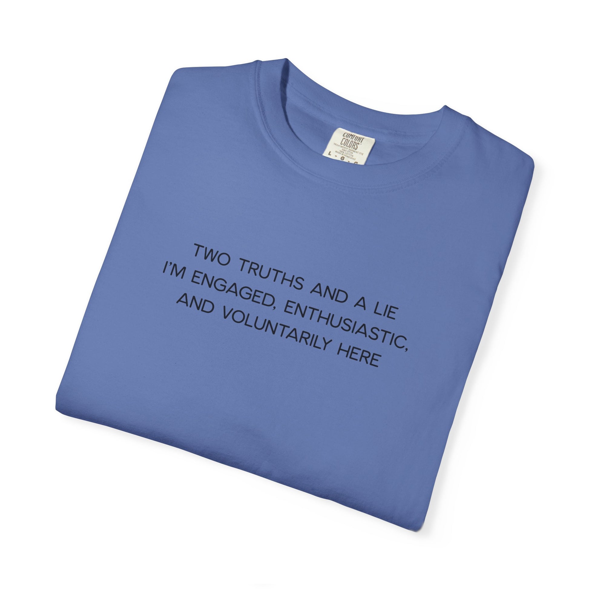 Two Truths and a Lie Teacher Shirt - Funny PD Day Shirt, Icebreaker Survivor Tee, Teacher Humor Comfort Colors Shirt