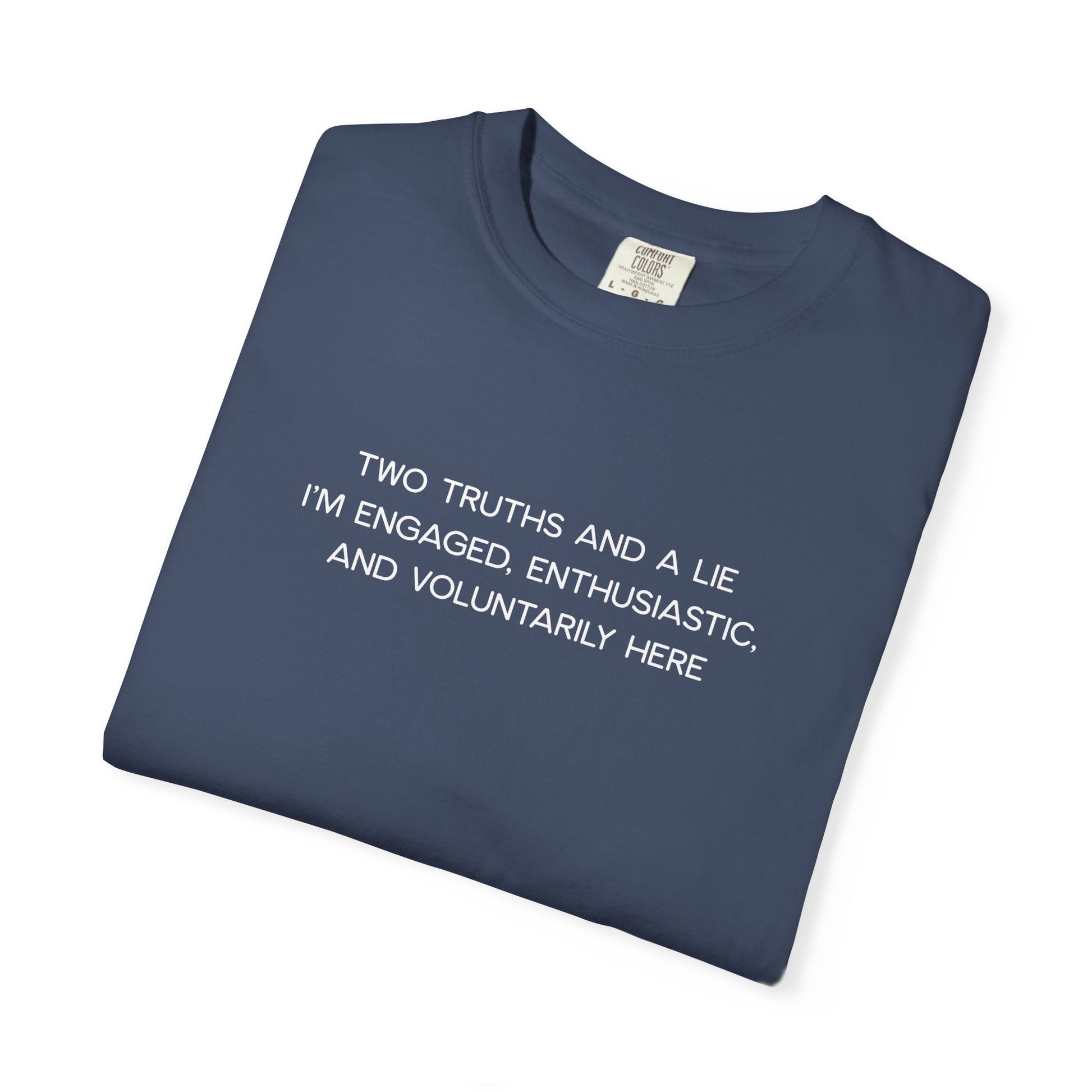 Two Truths and a Lie Teacher Shirt - Funny PD Day Shirt, Icebreaker Survivor Tee, Teacher Humor Comfort Colors Shirt