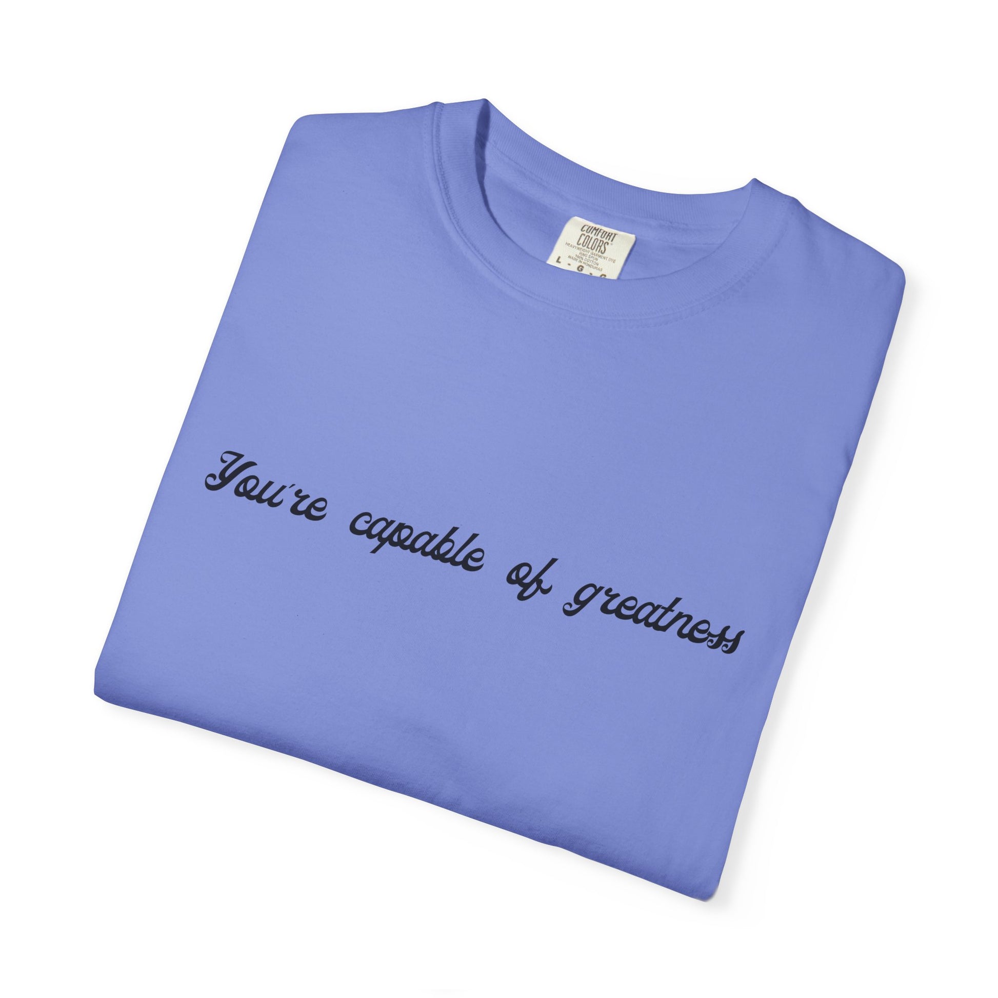 Motivational Sarcastic Directions Tee