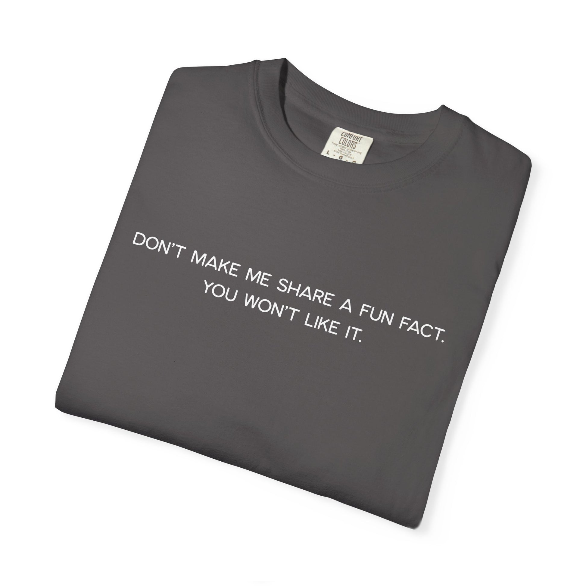 Don't Make Me Share a Fun Fact Shirt - Funny PD Day Teacher Shirt, Anti-Icebreaker Comfort Colors Tee, Staff Meeting Shirt