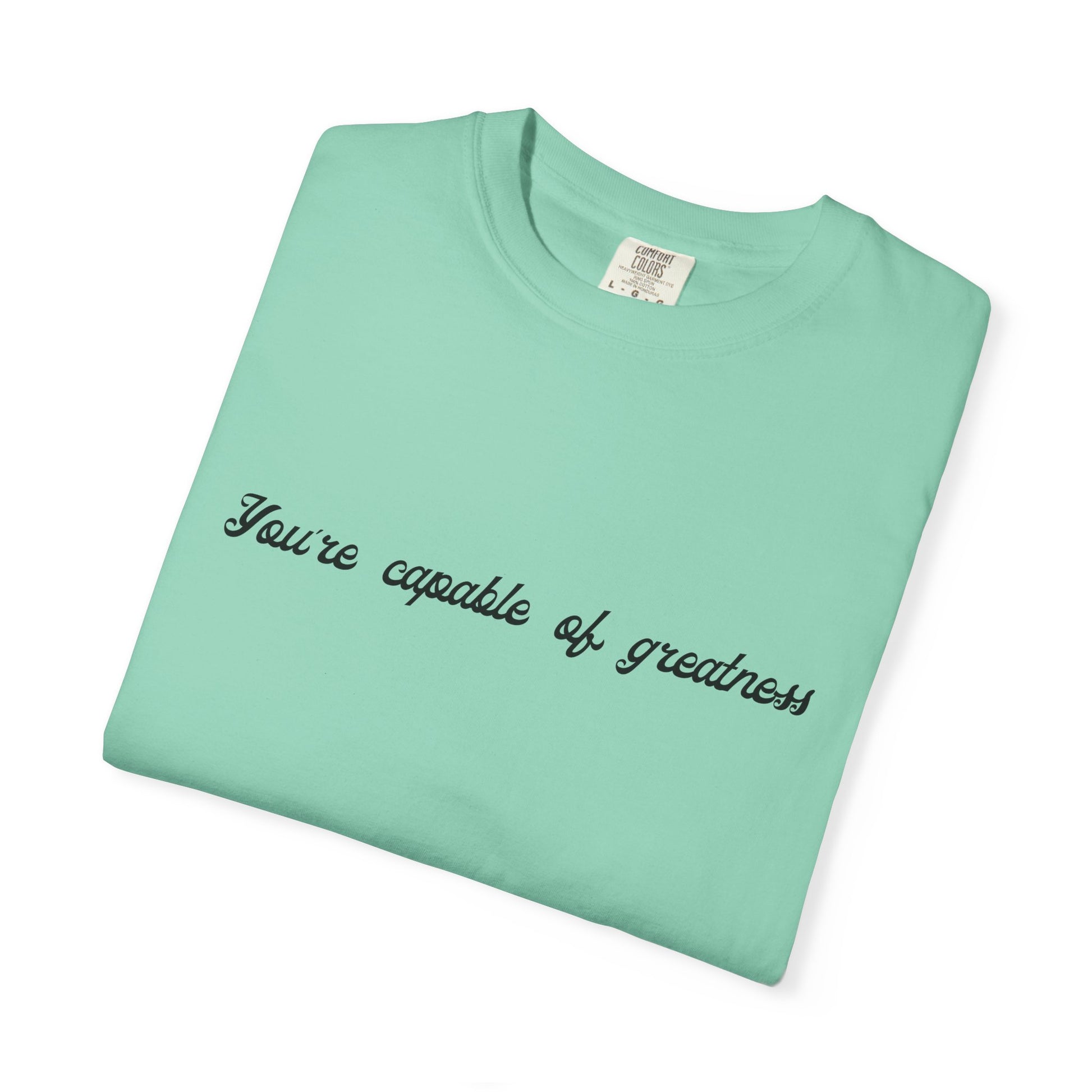 Motivational Sarcastic Directions Tee