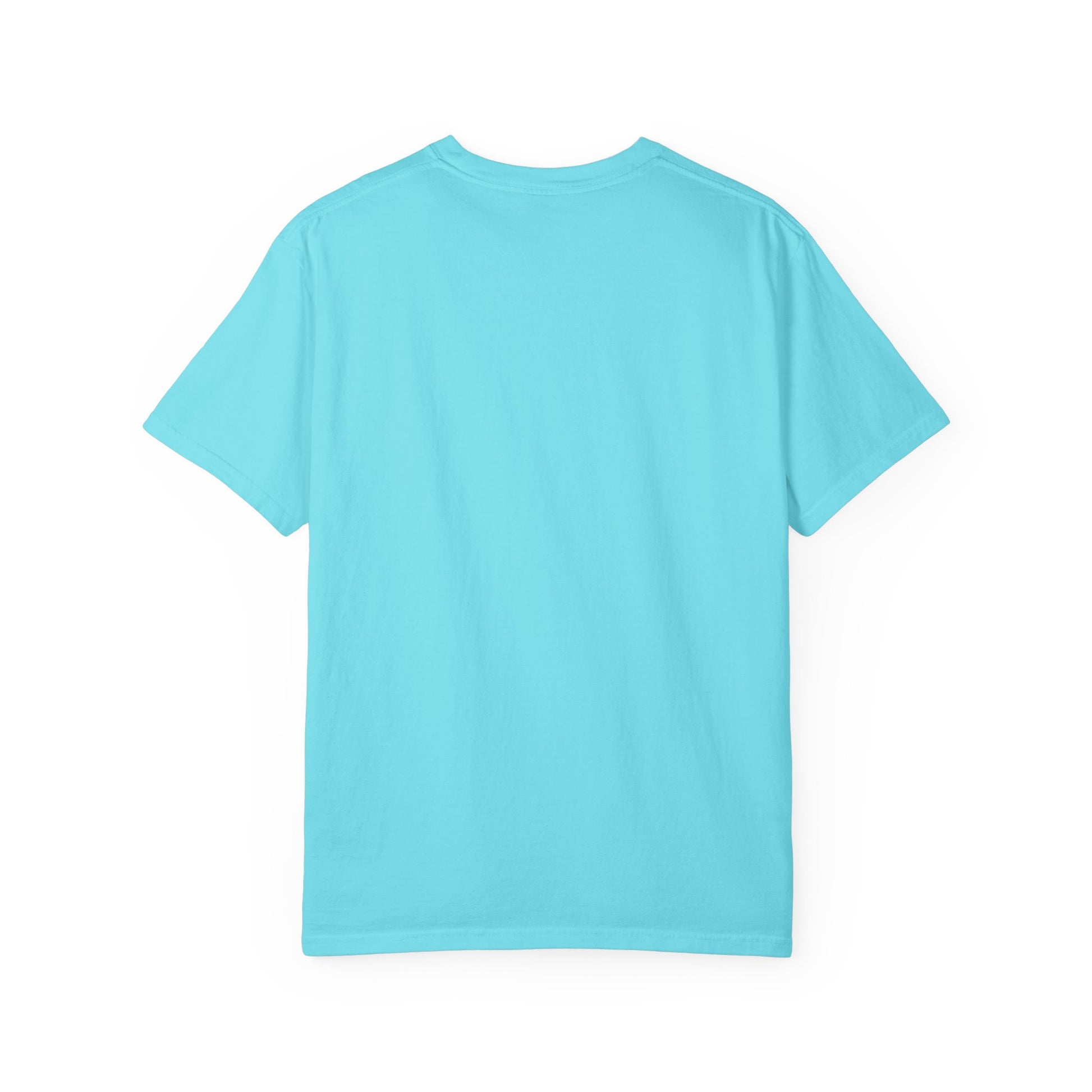 Don't Start a Revolution You Can't Finish Tee