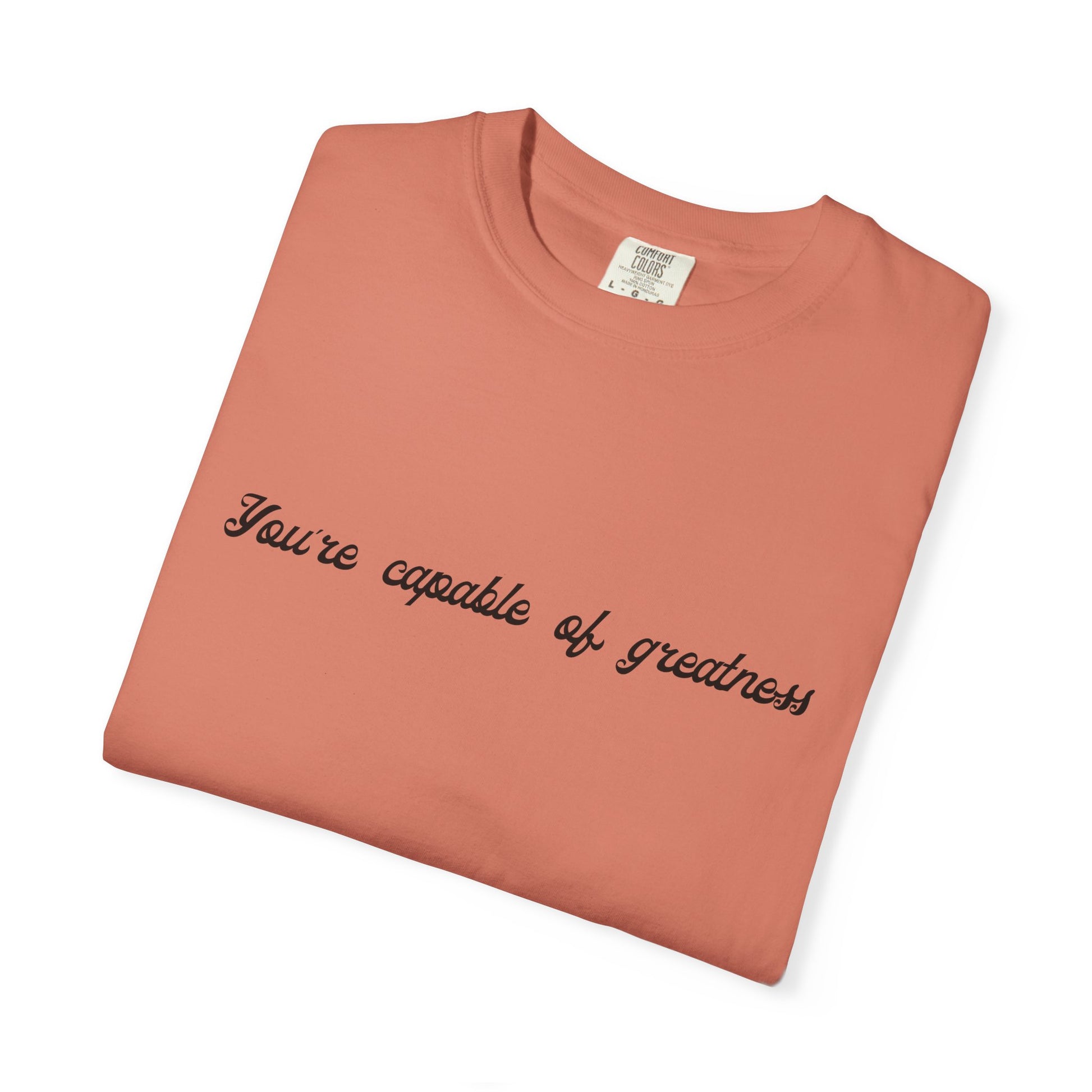 Motivational Sarcastic Directions Tee
