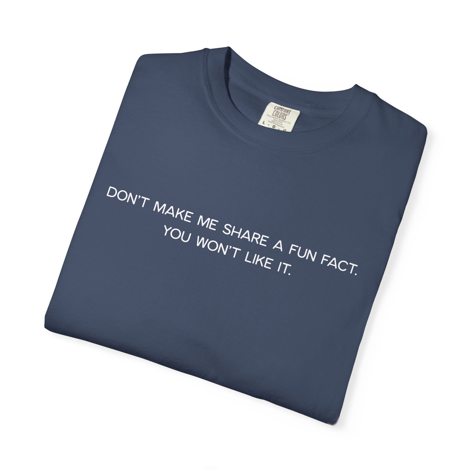 Don't Make Me Share a Fun Fact Shirt - Funny PD Day Teacher Shirt, Anti-Icebreaker Comfort Colors Tee, Staff Meeting Shirt