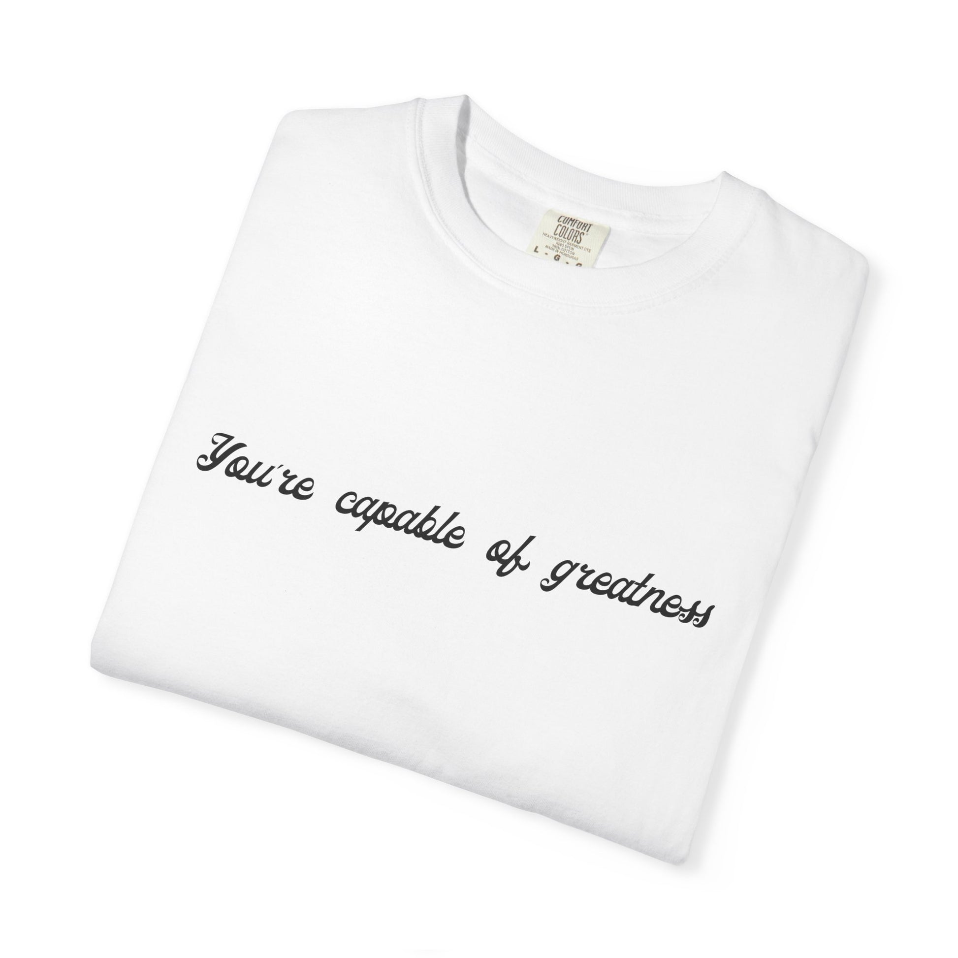 Motivational Sarcastic Directions Tee