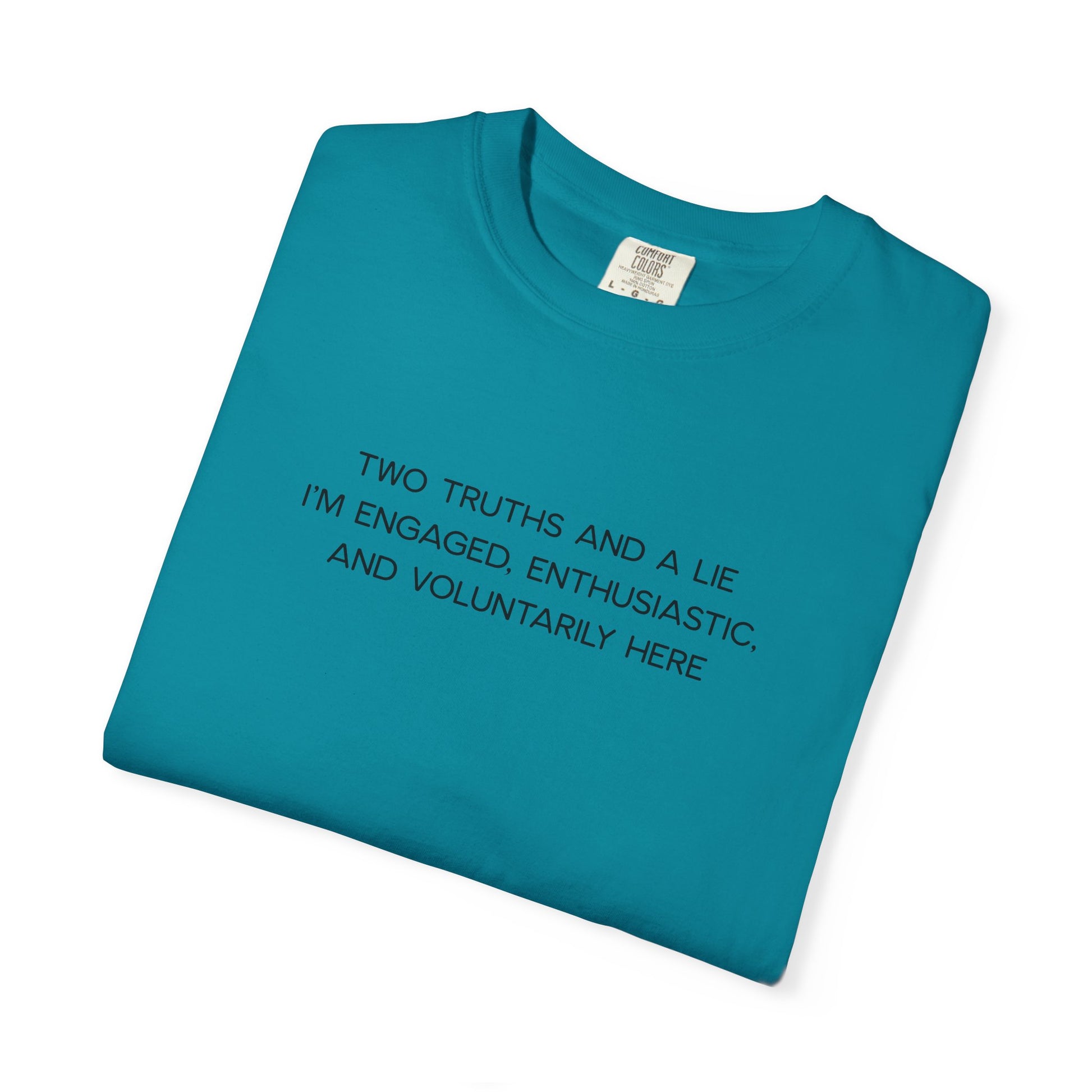 Two Truths and a Lie Teacher Shirt - Funny PD Day Shirt, Icebreaker Survivor Tee, Teacher Humor Comfort Colors Shirt