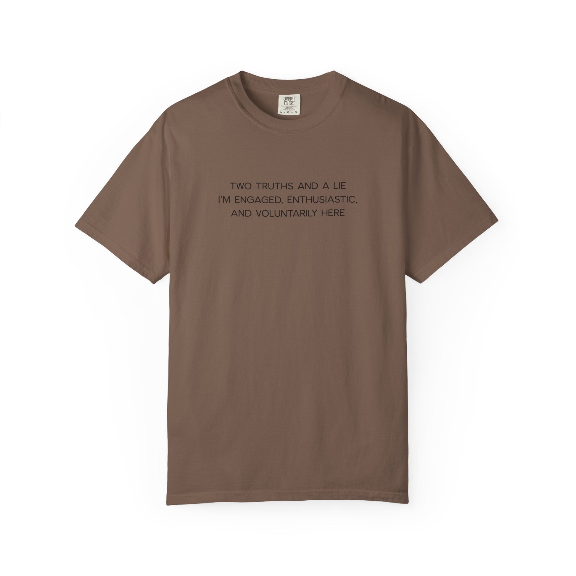 Two Truths and a Lie Teacher Shirt - Funny PD Day Shirt, Icebreaker Survivor Tee, Teacher Humor Comfort Colors Shirt