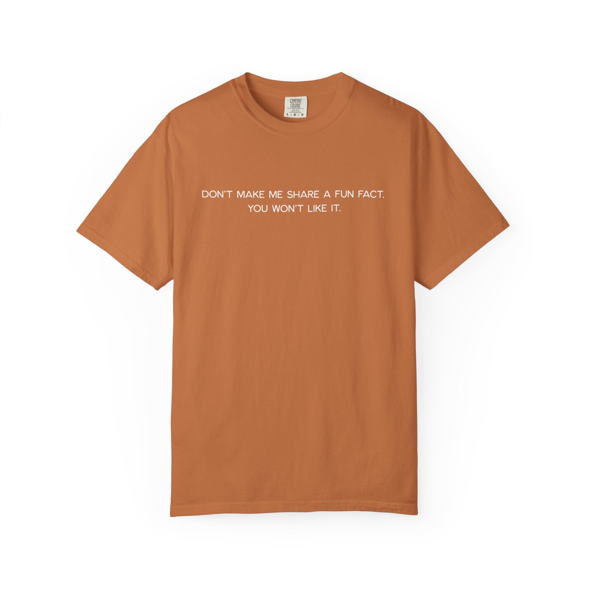 Don't Make Me Share a Fun Fact Shirt - Funny PD Day Teacher Shirt, Anti-Icebreaker Comfort Colors Tee, Staff Meeting Shirt