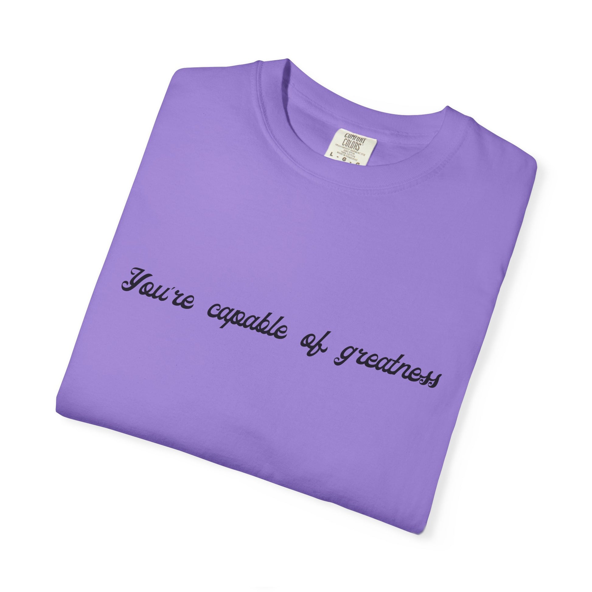 Motivational Sarcastic Directions Tee