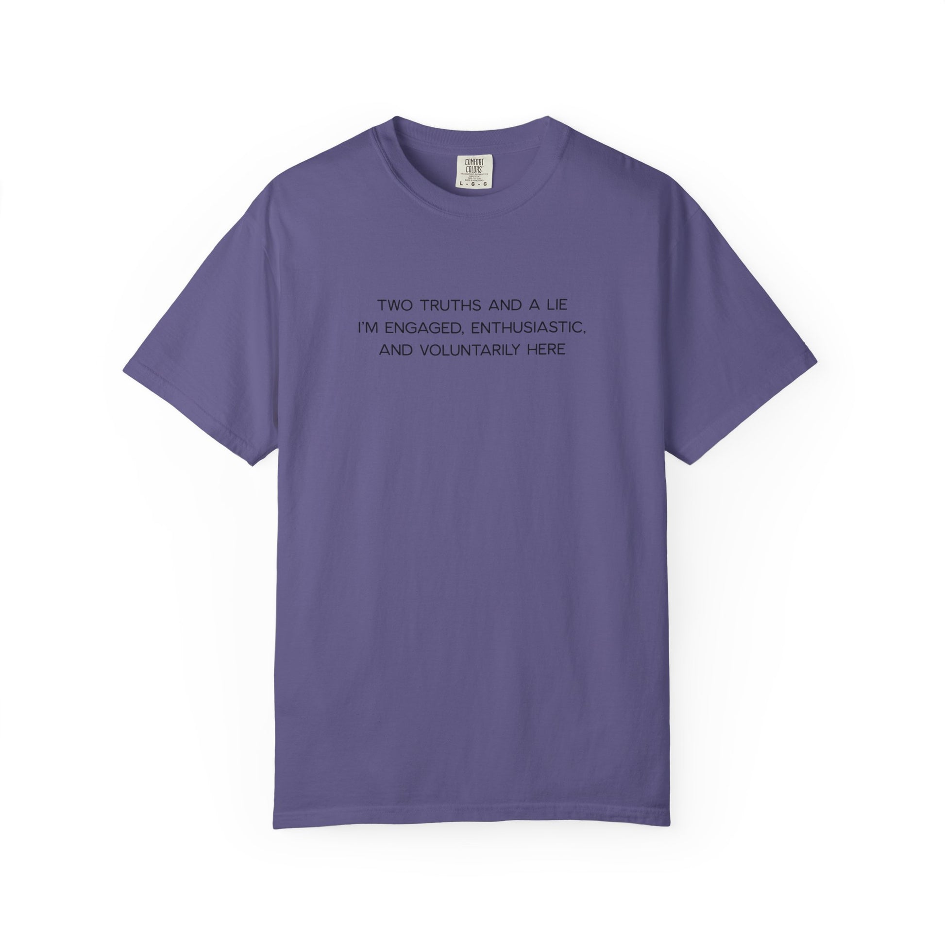 Two Truths and a Lie Teacher Shirt - Funny PD Day Shirt, Icebreaker Survivor Tee, Teacher Humor Comfort Colors Shirt