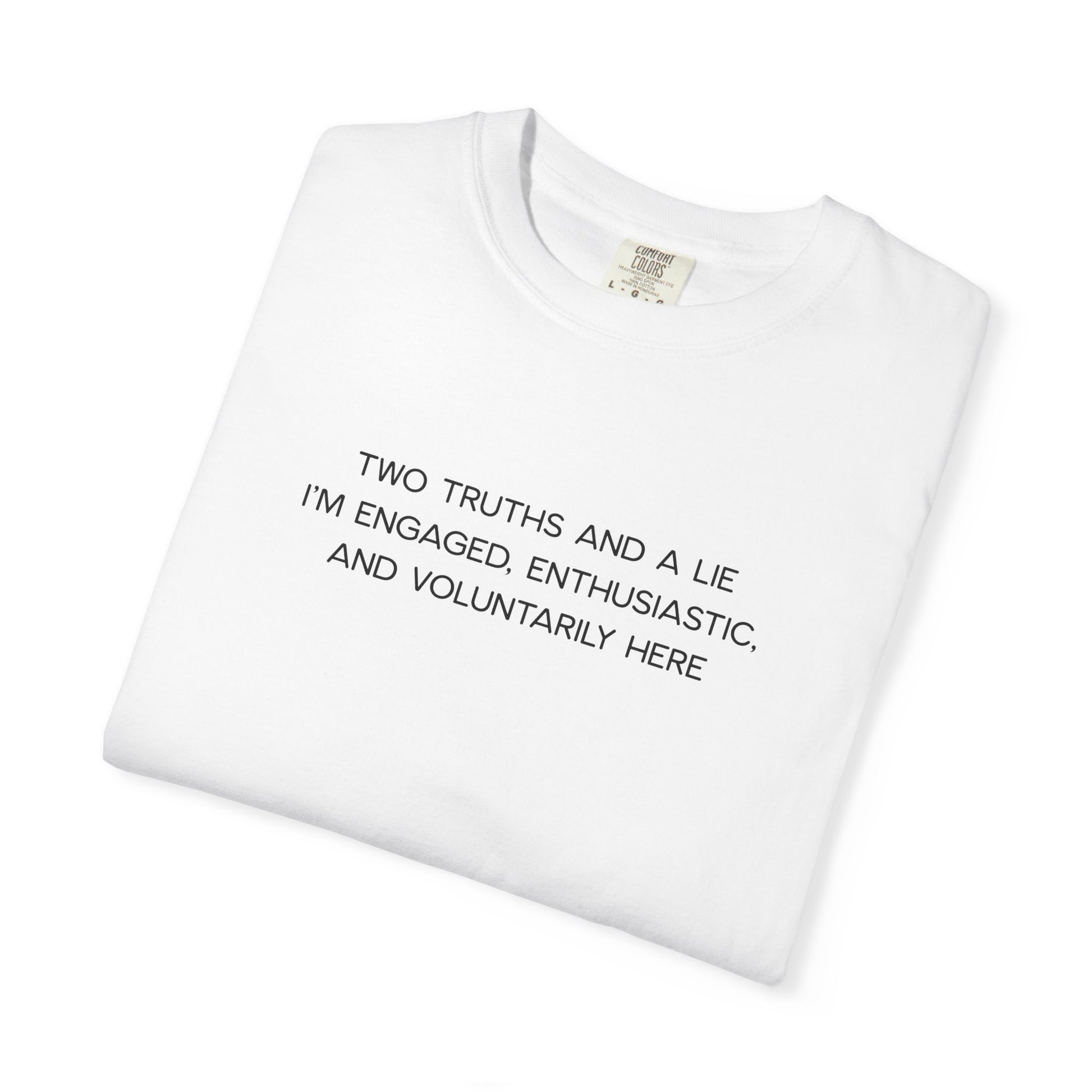 Two Truths and a Lie Teacher Shirt - Funny PD Day Shirt, Icebreaker Survivor Tee, Teacher Humor Comfort Colors Shirt