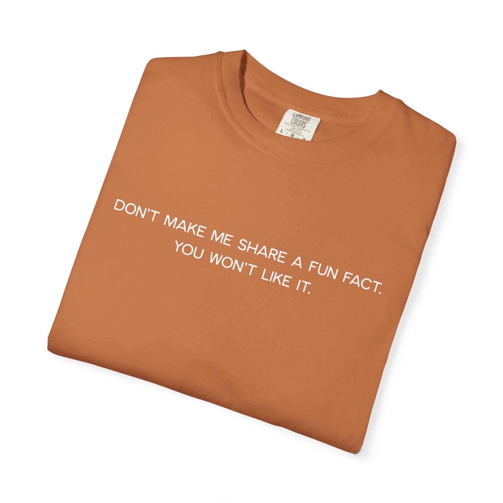 Don't Make Me Share a Fun Fact Shirt - Funny PD Day Teacher Shirt, Anti-Icebreaker Comfort Colors Tee, Staff Meeting Shirt