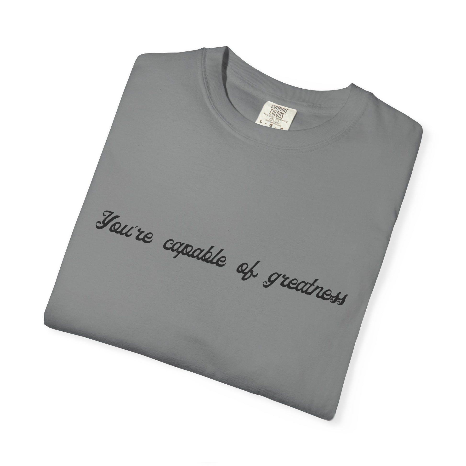 Motivational Sarcastic Directions Tee