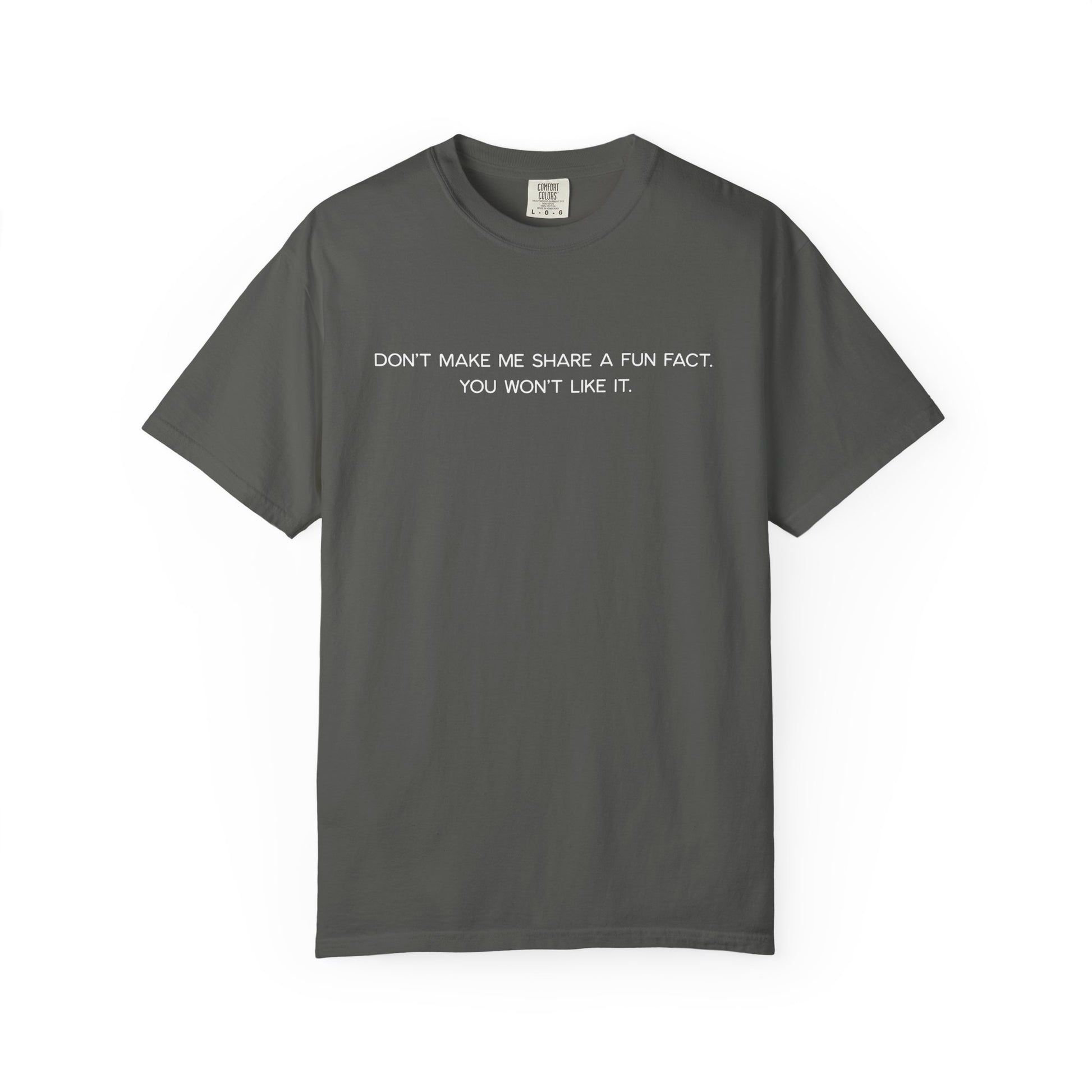 Don't Make Me Share a Fun Fact Shirt - Funny PD Day Teacher Shirt, Anti-Icebreaker Comfort Colors Tee, Staff Meeting Shirt