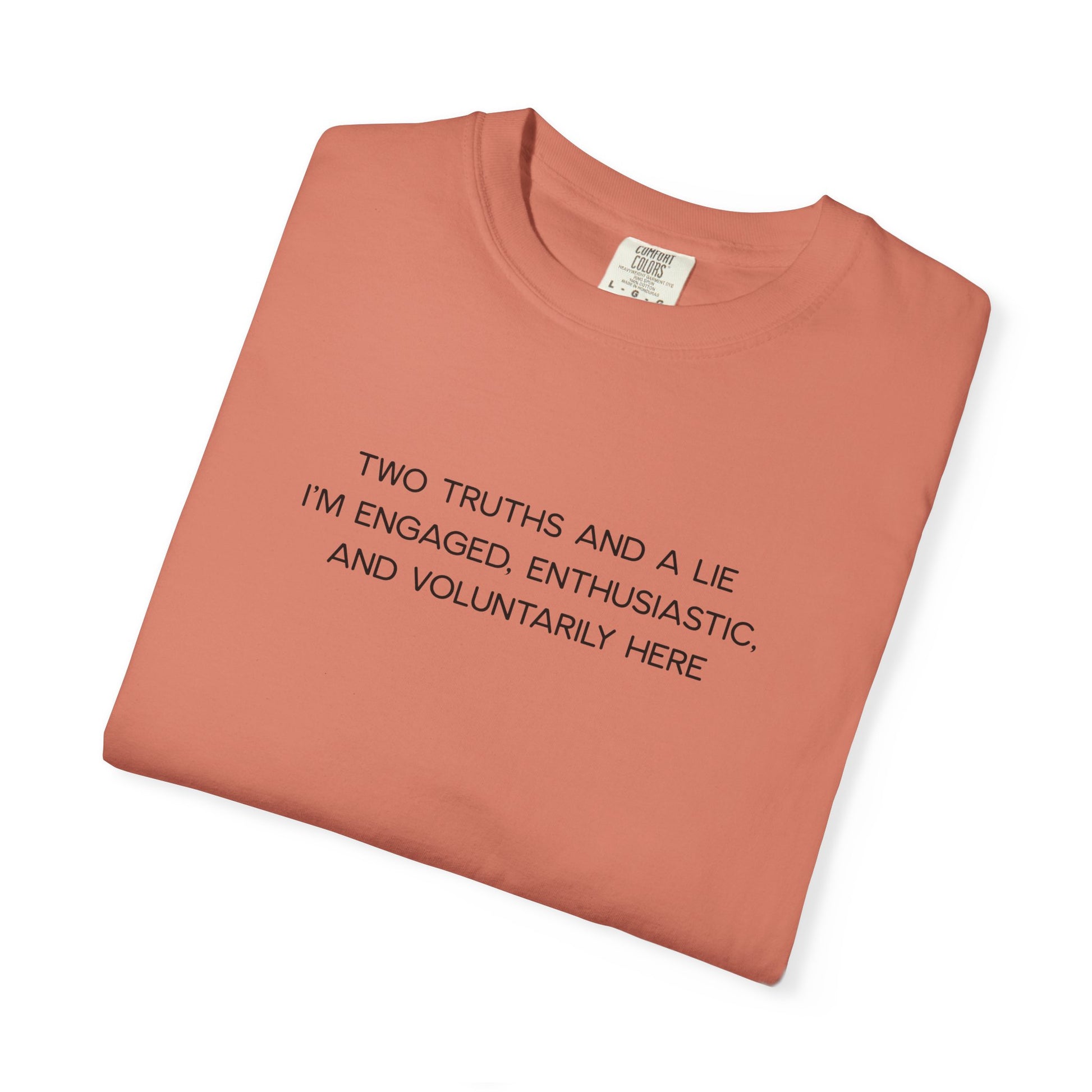 Two Truths and a Lie Teacher Shirt - Funny PD Day Shirt, Icebreaker Survivor Tee, Teacher Humor Comfort Colors Shirt