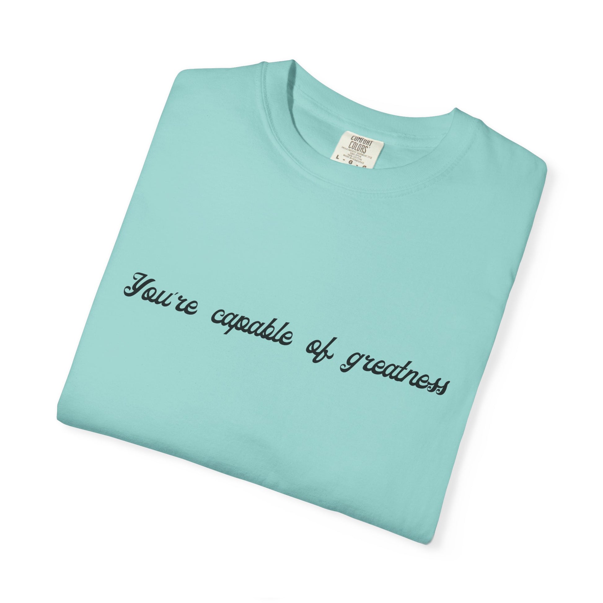 Motivational Sarcastic Directions Tee