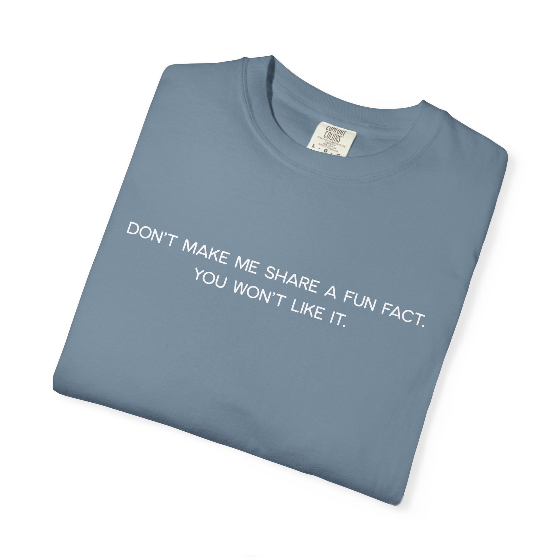 Don't Make Me Share a Fun Fact Shirt - Funny PD Day Teacher Shirt, Anti-Icebreaker Comfort Colors Tee, Staff Meeting Shirt
