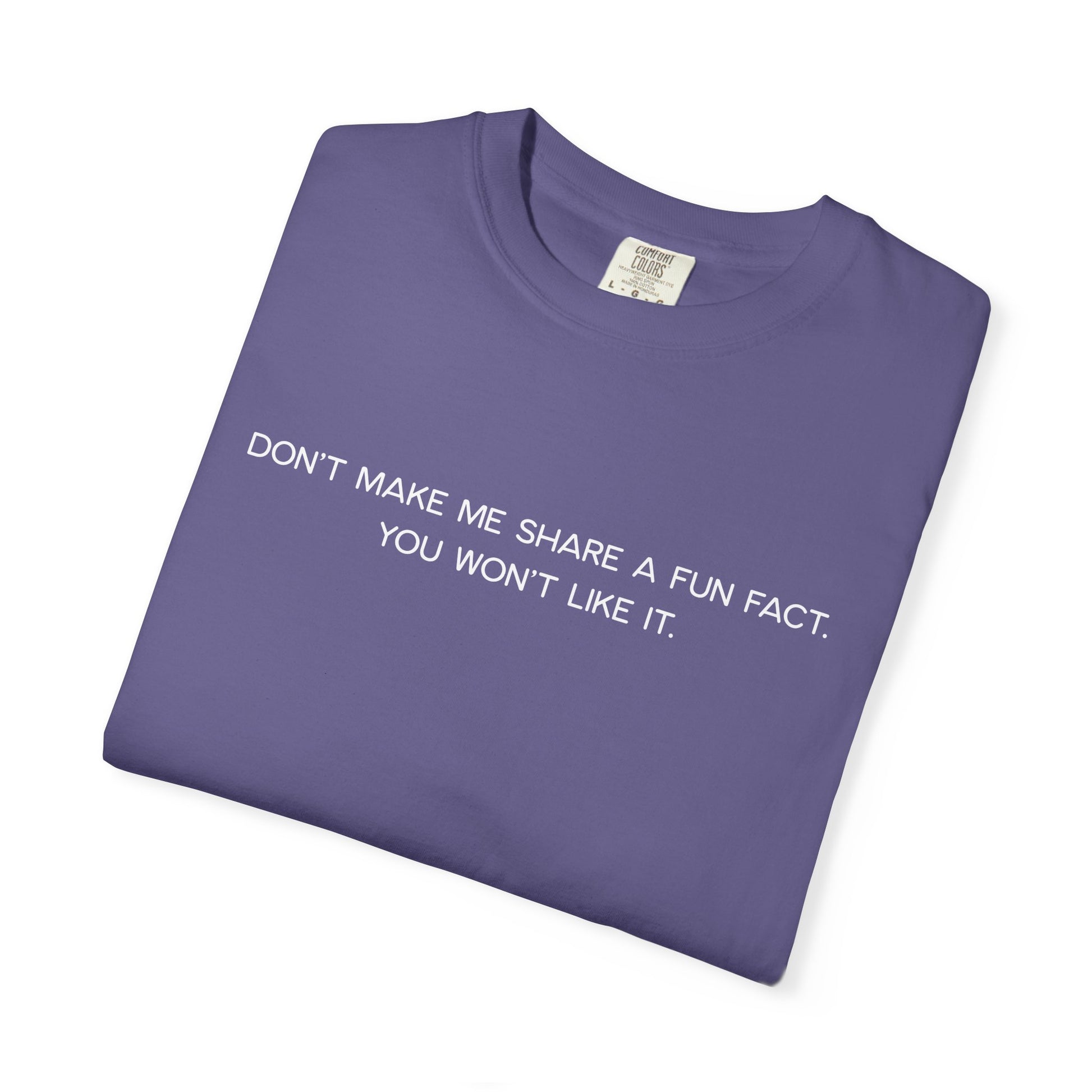 Don't Make Me Share a Fun Fact Shirt - Funny PD Day Teacher Shirt, Anti-Icebreaker Comfort Colors Tee, Staff Meeting Shirt