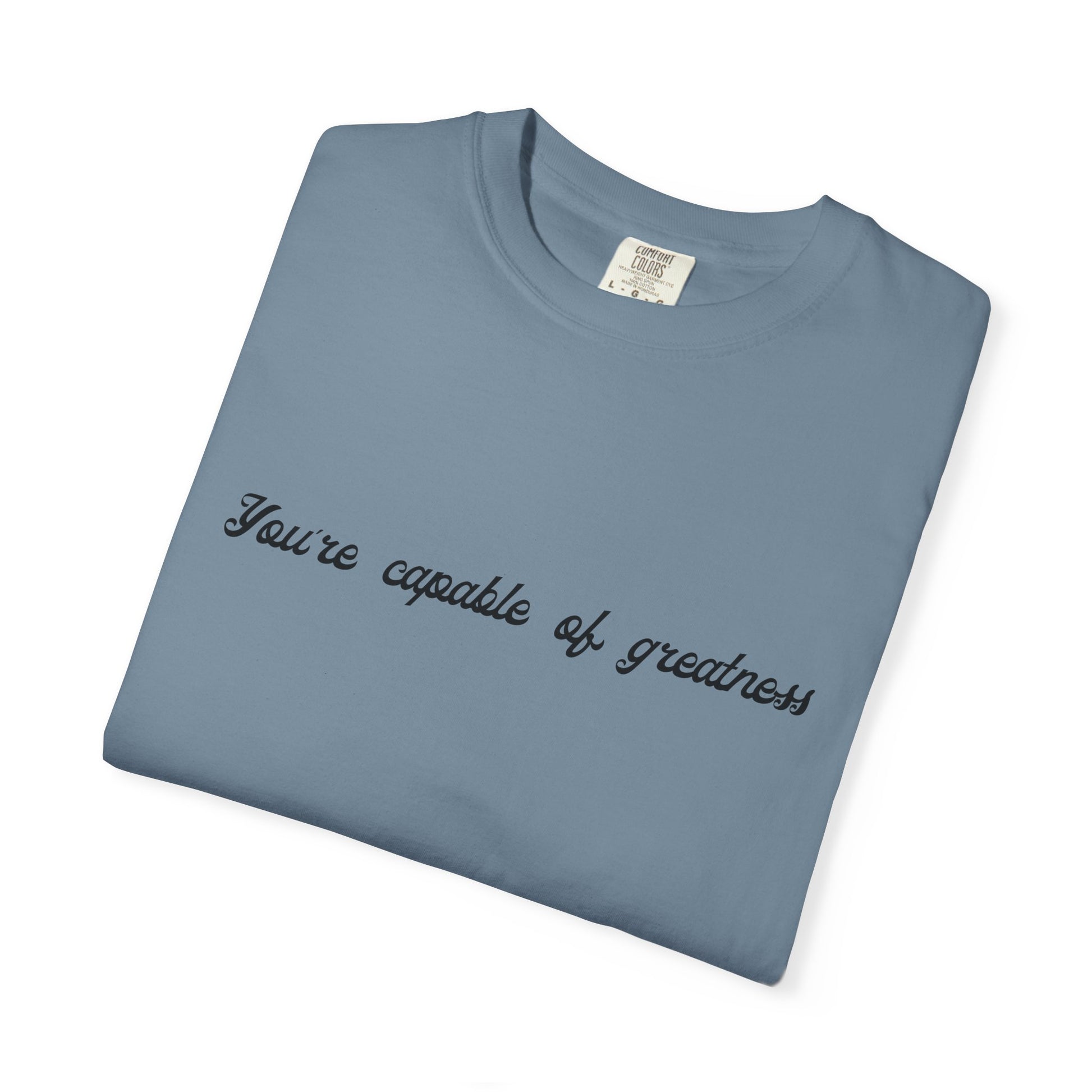 Motivational Sarcastic Directions Tee