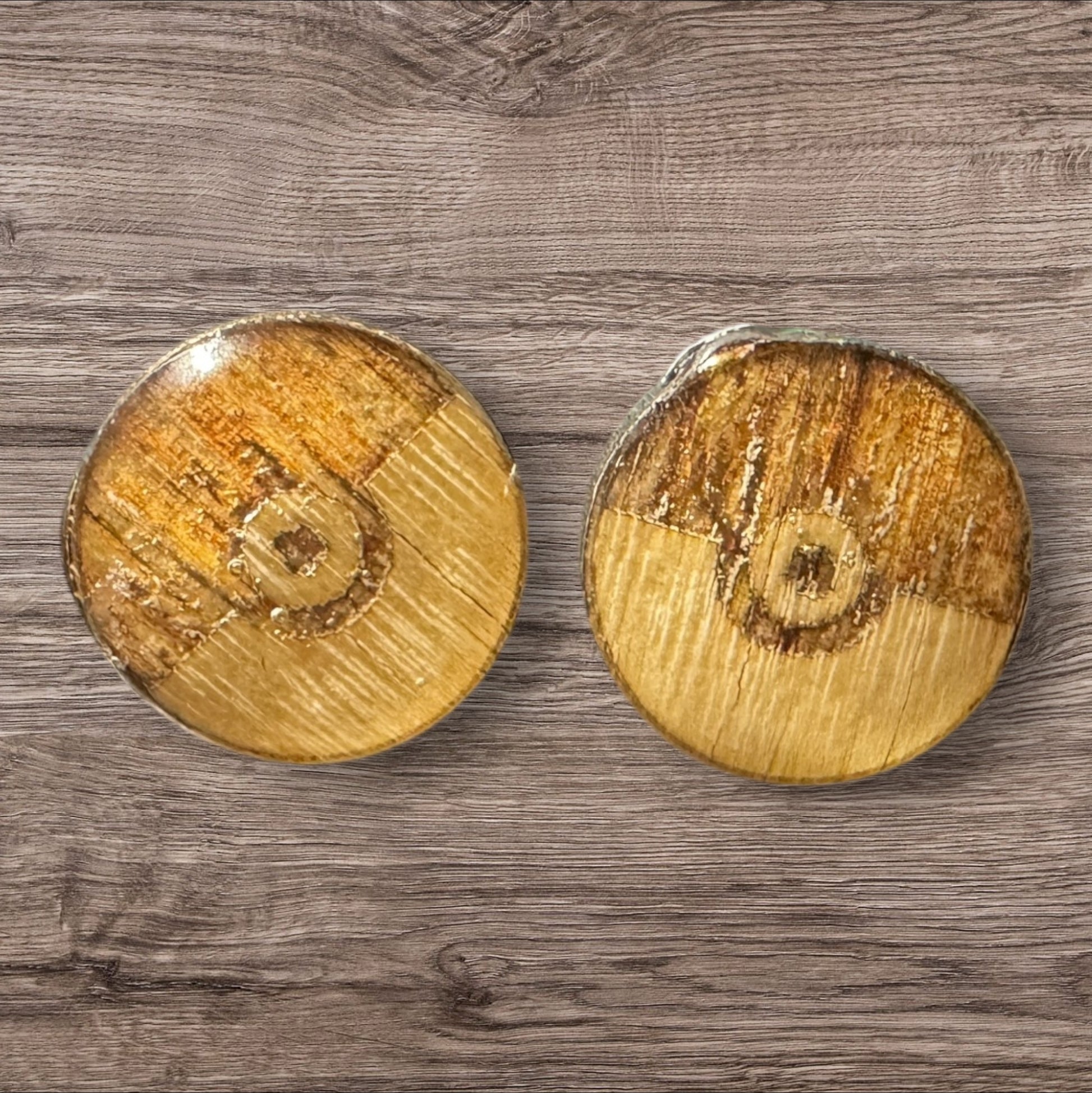 Pokemonster Earrings